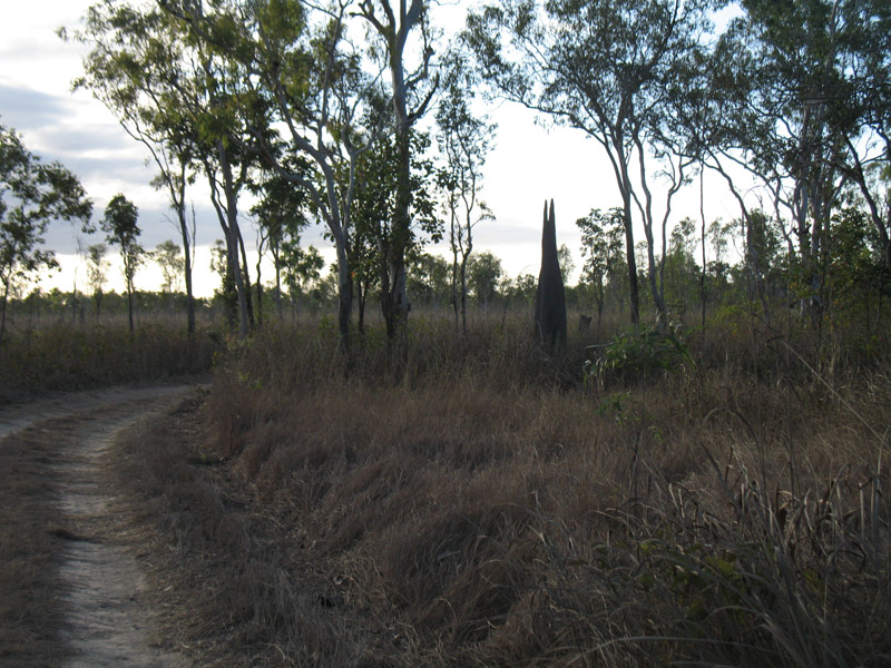 Lakefield National Park - Walkabout